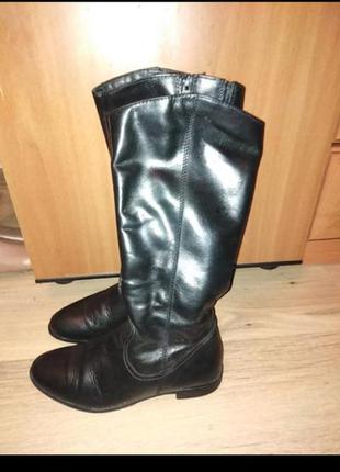 Сапоги осенние
