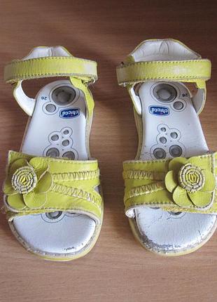 Кожаные босоножки chicco чико 2