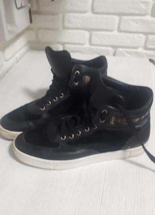 Хайтопи шкіра альпака