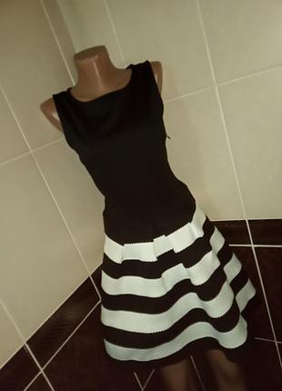 Палатье зебра