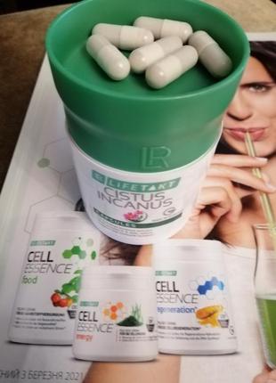 Цистус інканус, капсули для підвищення імунітету, lr, germany