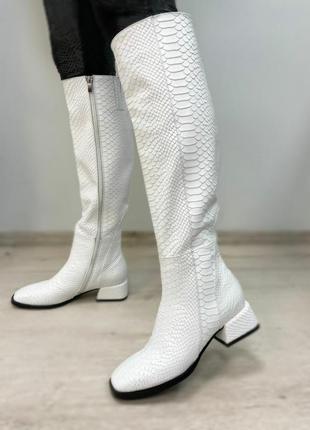 Сапоги дизайнерские belucci 👄белуччи  белый питон кожа натуральная осень зима