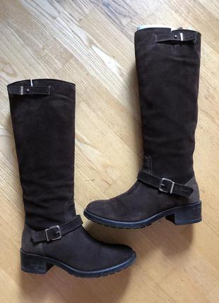 Сапоги осенние tommy hilfiger