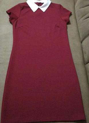 Сукня 👗 з коміром