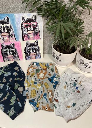 Набор штанишек