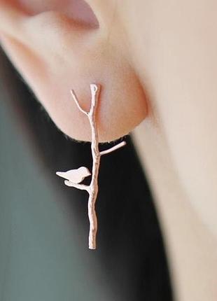 Сережки рідкісні, красиві