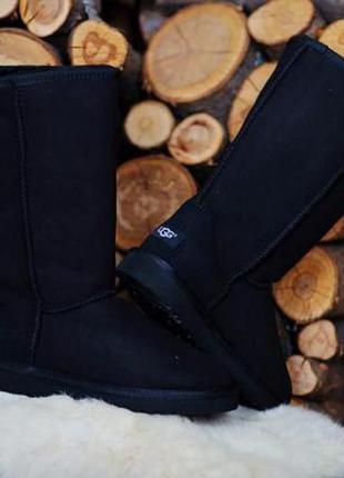 Женские высокие ugg classic tall black1 фото