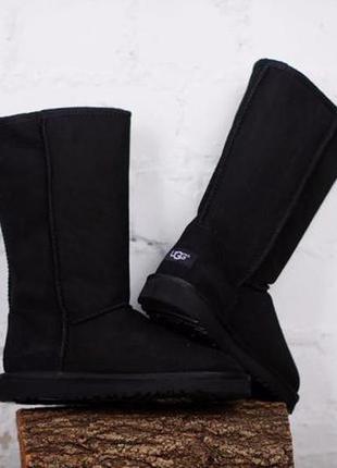 Женские высокие ugg classic tall black3 фото