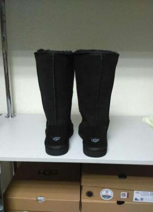 Жіночі високі ugg classic tall black2 фото