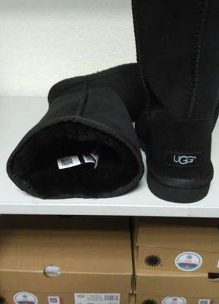 Жіночі високі ugg classic tall black4 фото