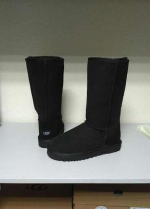 Жіночі високі ugg classic tall black5 фото