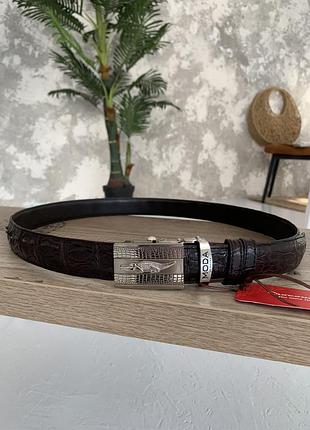 Ремень crocodile leather из натуральной кожи крокодила