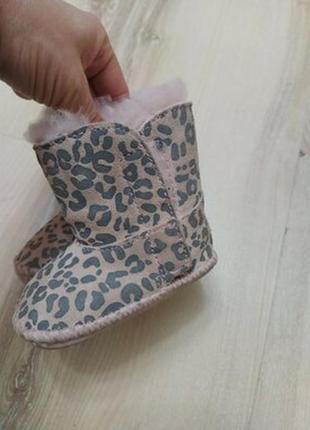 Пінетки з натуральної овчини ugg cassie leopard.16 раз.2 фото