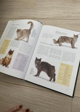 Книга про котів, догляд за ними та цікаві факти про котів і кішок.5 фото