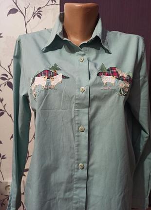 Стильна сорочка з вишивкою equorlan.