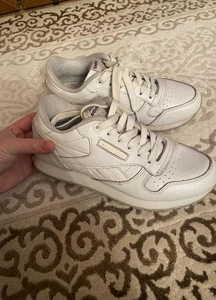 Кросівки reebok