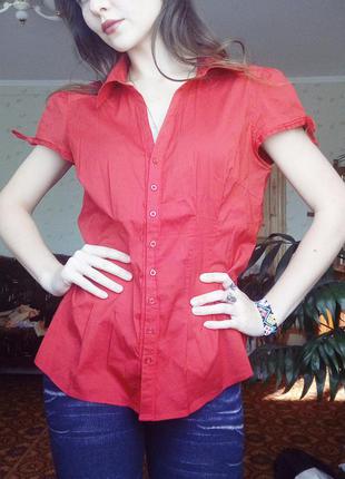 Блузка блуза рубашка san francisco красная1 фото