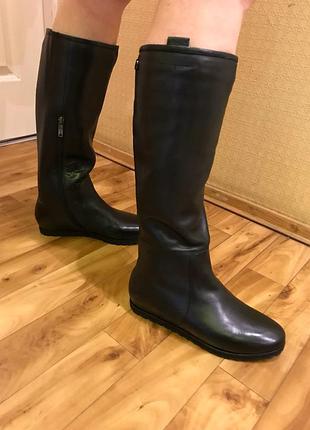 Чоботи жіночі alba 1790-6-3905 знижка -55%