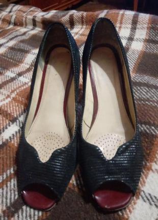 Туфлі marco