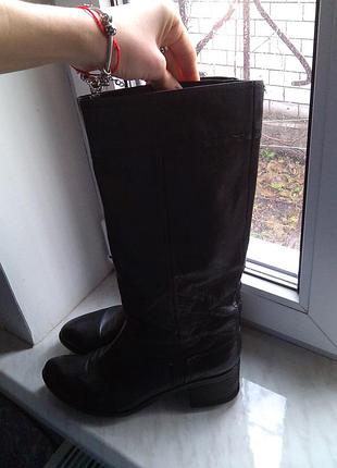 Демисезонные сапоги