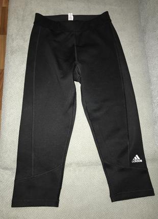 Спортивні бриджі adidas розмір s
