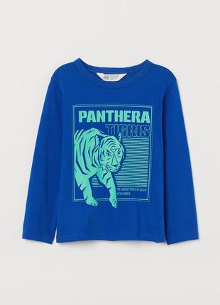 Реглан h&m р. 4-6, 6-8 років.