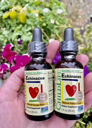 Echinacea childlife для імунітету рідкий дитячий вітаміни бузина ехінацея iherb