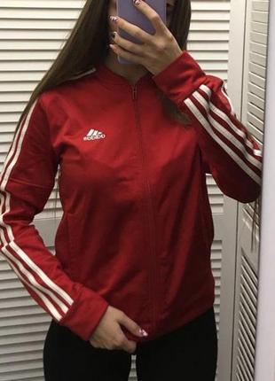 Кофта adidas