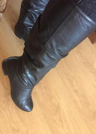 Сапоги демисезонные кожанные рaul green