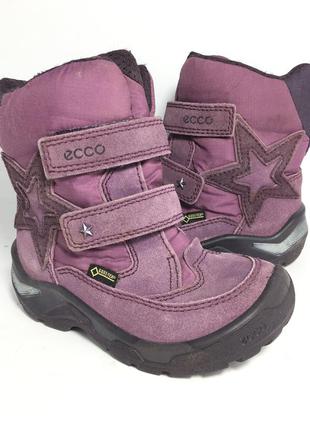 Зимові шкіряні термоботинки ecco