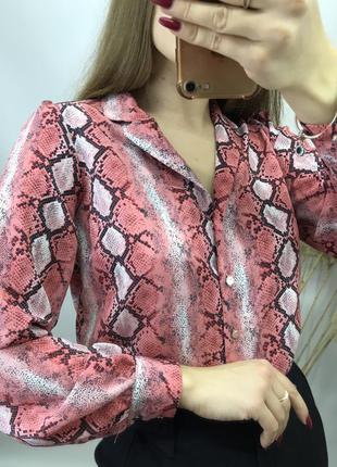 Dorothy perkins блуза со змеиным принтом блузка рубашка barbie барби8 фото