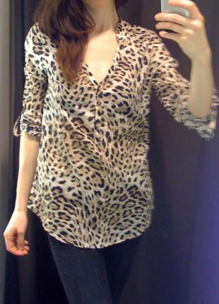 Рубашка блуза блузка леопардовая zara5 фото