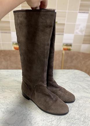 Женские сапоги braska 39 размер