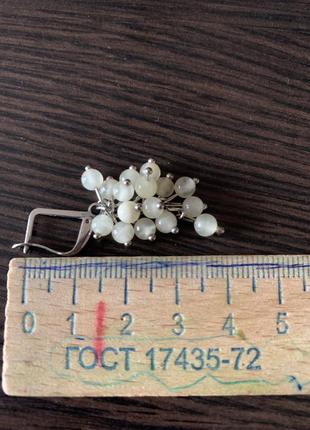 Сережки грона смородини 2