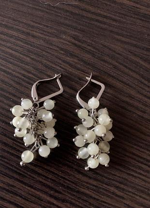 Сережки грона смородини