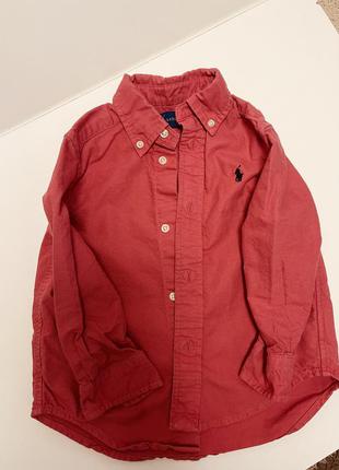 Рубашка для мальчика 2 года рубашка красная ralf lauren