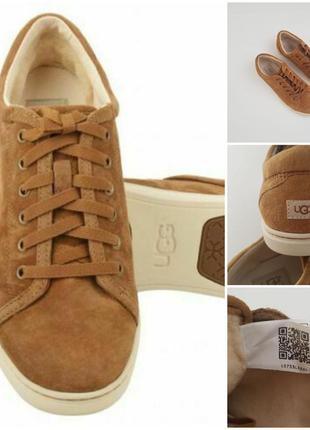 Жіночі замшеві кросівки damskie ugg оригінал, р. 38