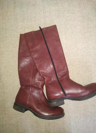 Бордові чоботи