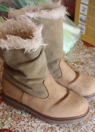 Cat сапоги сапожки 35 размер