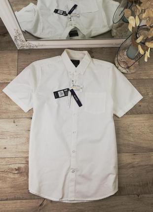 Фирменная шикарная белая классическая рубашка primark 100% коттон1 фото