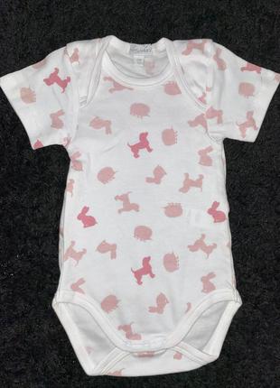 Боди футболка детский liabel для новорождённых 9 месяц 74 см