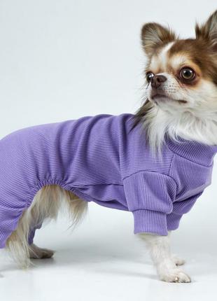 Костюм пильник для собак і котів