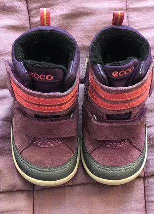 Черевички ecco