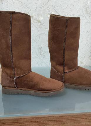 Женские угги, ugg