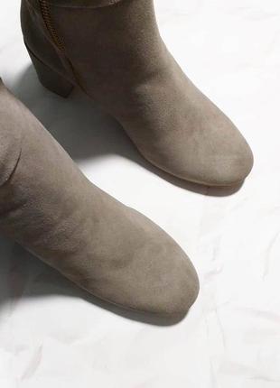 Taryn rose оригинал серо-бежевые высокие замшевые сапоги ботфорты на удобном каблуке7 фото