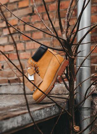 Черевики timberland «ginger» без хутра3 фото