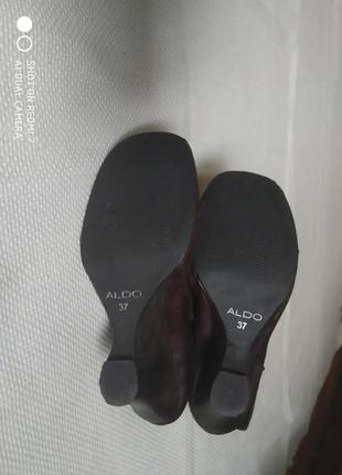 Брендовые кожаные высокие сапоги на молнии от aldo6 фото