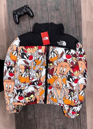 Зимовий пуховик the north face