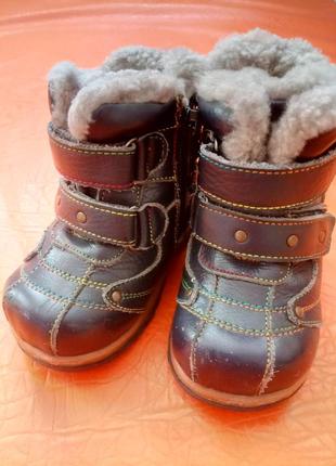 Ботинки зимние кожа, натуральный мех р.21-13 см1 фото