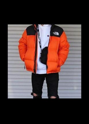Пуховик куртка тнф tnf 700 the north Violet